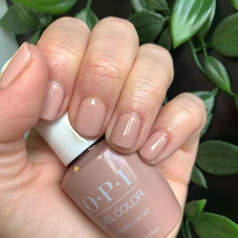 14 Neutral Nail Colors You Need to Know About 10 Taupe Opi Nail Polish, Neutral Gel Nail Colors Opi, Beige Opi Gel Polish, Opi Nail Polish Colors Neutral, Opi Knowledge Is Flower, Opi Gel Polish Colors For Fair Skin, Opi Tan Nail Polish, Opi Beige Nail Polish, Opi Jelly Nail Polish