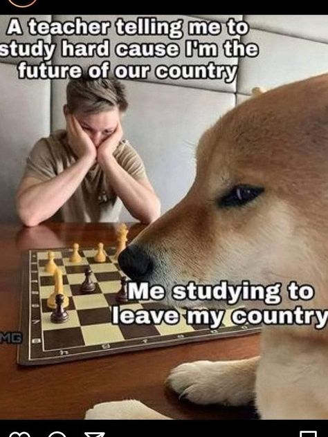 Vojenský Humor, Chess Moves, Historical Humor, History Jokes, Meme Page, Funny Dog Memes, History Humor, Intp, Book Memes