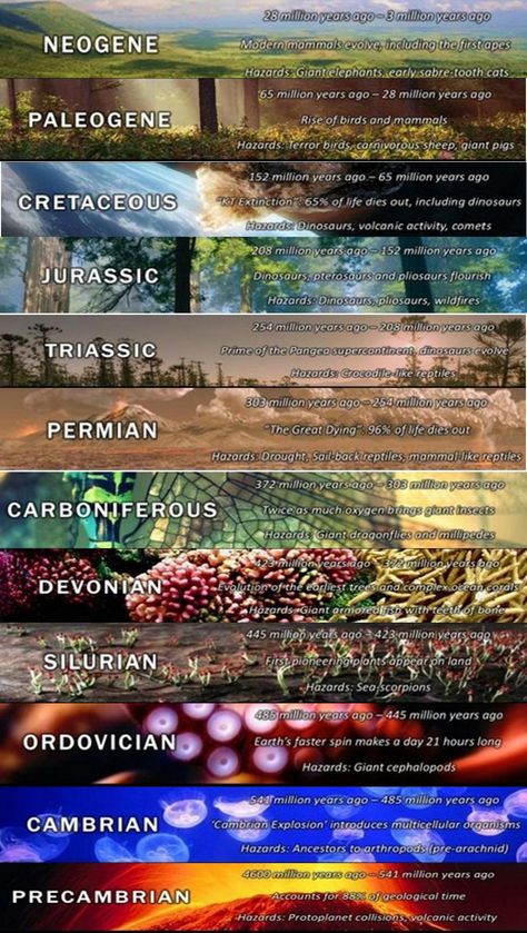 Geologic Time (not shown to scale with respect to time length.) Precambrian accounts for 88% of Geologic time! If time for all life on earth was compressed into 24 hours, humans appear on the scene only 1 second before midnight. (The last second in last hour.) Uppfostra Barn, Geologic Time Scale, Ancient History Facts, Geology Rocks, Earth From Space, Teaching Science, Earth Science, Fun Science, History Facts