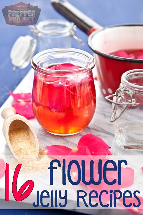 16 Delicious Flower Jelly Recipes Sunflower Jelly Recipe, Unique Jelly Recipes, Unique Canning Recipes, Unique Jams And Jelly Recipes, Hedgerow Jelly, Sunflower Jelly, Rose Jelly, Flower Jelly, Rosa Rugosa