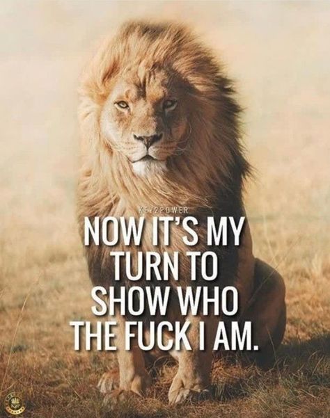 Lioness Quotes, Leo Zodiac Quotes, Leo Quotes, Lion Quotes, Strong Mind Quotes, Amazing Inspirational Quotes, Dope Quotes, My Turn, Warrior Quotes