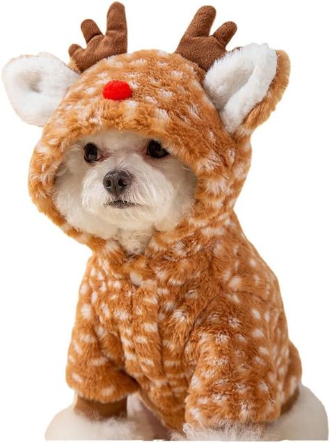 Amazon.com : AZA Reindeer Dog Costume Fluffy Christmas Clothes Moose Coat Winter Pet Hoodies Puppy Girl Cute Coat Outfits for Small Dogs Costumes (XXL（Suitable：16.5lb-22lb）,Moose Brown) : Pet Supplies Dog Wardrobe, Reindeer Pet, Baby Matching Outfits, Small Dog Costumes, Reindeer Dog, Babies Outfits, Pet Coats, Dog Outfits, Oliver And Company