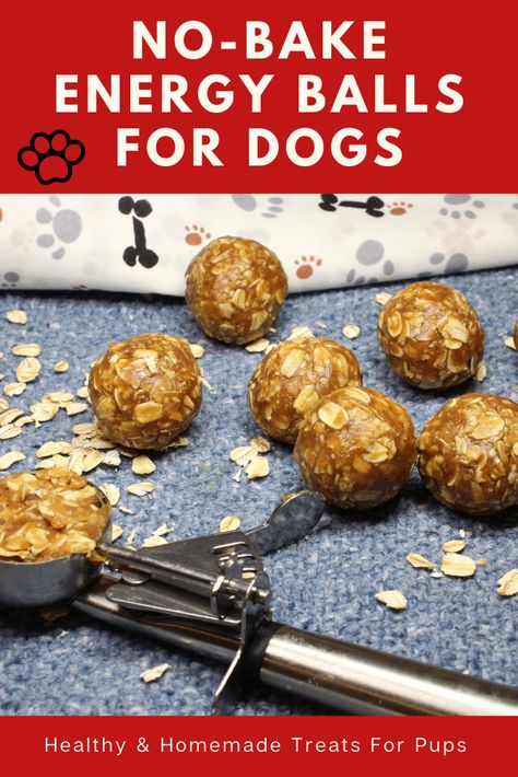 Easy no bake dog treats Dog Protein Balls, No Bake Treats For Dogs, Sweet Potato Peanut Butter, Banana Dog Treat Recipe, No Bake Dog Treats, Dog Breakfast, Sweet Potato Dog Treats, Animal Treats, Peanut Butter For Dogs