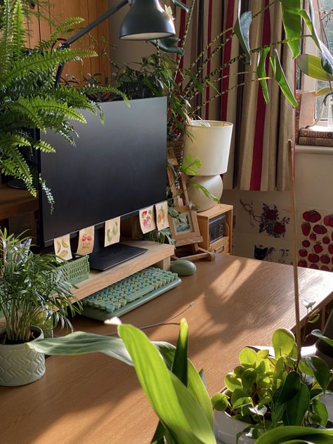 a picture of my desk during the golden hour. desk covered with houseplants. sage green keyboard. gaming setup Room Office Aesthetic, Desks With Plants, Pc Setup Green Aesthetic, Dorm Desk Plants, Office Plants Aesthetic, Greenery Desk Setup, Plant Desk Decor, Plant Computer Setup, Studying Desk Setup