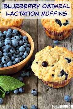 Lactation Muffins, Breastfeeding Snacks, Ranch Mix, Breastfeeding Foods, Lactation Recipes, Increase Milk Supply, Blueberry Oatmeal, Lactation Cookies, Breastmilk Supply