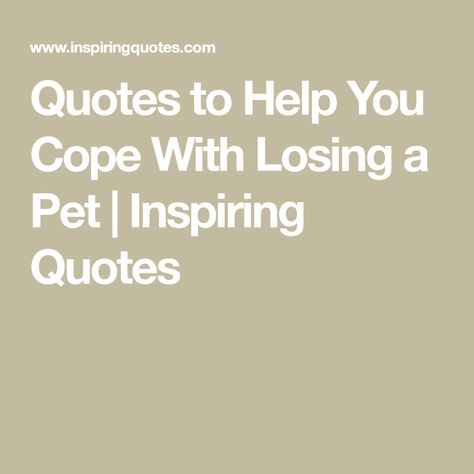 Quotes to Help You Cope With Losing a Pet | Inspiring Quotes When Your Pet Dies Quotes, Losing Pets Quotes Cat, Quotes For When Your Dog Dies, When A Pet Dies Quotes Dogs, Loosing Pets Quotes, Quotes About Pets Passing, Lost Dog Quotes, Losing Dog Quotes, What To Say When Someone Loses A Pet