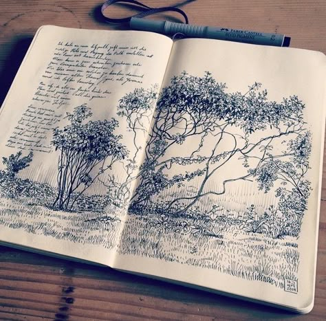 Illustration Garden Sketch, Illustrated Journal, Moleskine Journal, Art Notebook, Moleskine Sketchbook, Arte Sketchbook, Sketchbook Journaling, Sketchbook Inspiration, A Pen