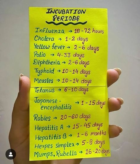 Save it for later ⬇️🧑🏻‍⚕️📈🏥🧠🧬📌 🔰Follow @medquizzone for more study tips ✅ . . . . . . . . . . . . . . . #newvork #canda #usa #uk #usmle #plab #nle #amc #haad #for-you #asmr #doctor #nurse #whitecoat #fyp #grow #StudyWithMe #fly #viralvideo #reels #reels #account #pmdc #dha #comlex #mccqe #nZreX #mCqS #medicalstudent #futuredoctor Pharmacy School Study, Nursing School Studying Cheat Sheets, Medical Diagrams, Pharmacology Studying, Medical Terminology Study, Nursing School Inspiration, Medical Study, Advance Technology, Nursing School Essential