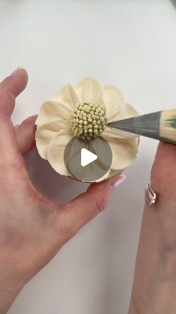 Alice Ward on Instagram: "Just for fun- a cute little daisy type flower for y’all 😄🤍 . #cake #cupcakes #flower #flowercupcakes #floralcupcakes #buttercreamflowers #piping #pipingvideo #prettyflower #prettycupcakes #buttercream #frosting #icingvideo #petalsbakehouse" Petals Bakehouse, Icing Piping Techniques, Cupcake Decorating Techniques, Buttercream Flowers Tutorial, Easy Cupcakes Decoration, Piping Buttercream, Cake Decorating Flowers, Flower Sugar Cookies, Frosting Flowers