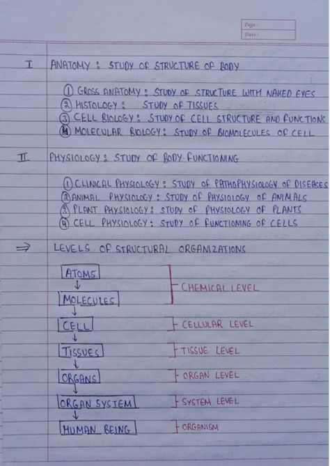 human anatomy and physiology notes first semester b. pharmacy B Pharmacy Notes 1st Year, B Pharmacy Notes, Human Anatomy And Physiology Notes, Human Anatomy Notes, Anatomy And Physiology Notes Study, Anatomy And Physiology 1, Pharmacy Notes, Anatomy And Physiology Notes, B Pharmacy