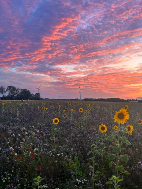 Complementary Colors Examples, Spring Aesthetic Nature, Pink Clouds Aesthetic, Clouds Pink, Sunset Pretty, Aesthetic Clouds, Clouds Aesthetic, Summer Wind, Spring Nights