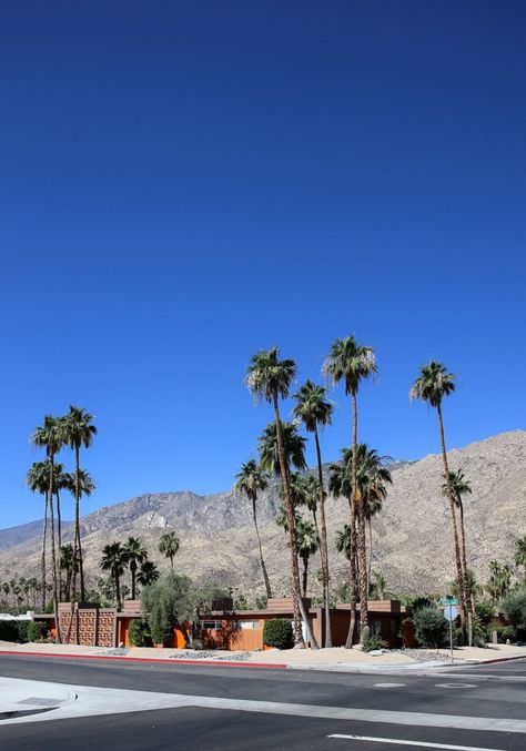 Travel Guide: Palm Springs, California