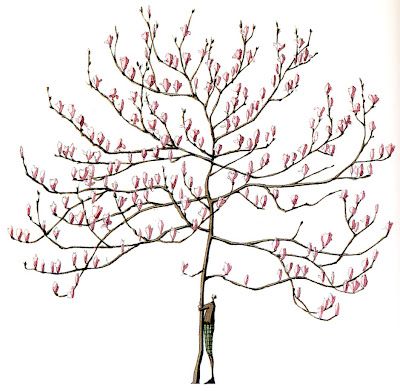 laura stoddart illustrator Laura Stoddart, Botanical Products, Pink Magnolia, Crabtree & Evelyn, Artistic Ideas, Tree Of Life Hanging Tapestry 55” By 20”, English Artists, Happy Things, Whimsical Illustration