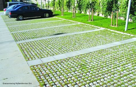 Car Park Design, Grass Driveway, Permeable Driveway, Grass Pavers, Parking Building, Paving Design, Parking Area, Driveway Landscaping, Viborg