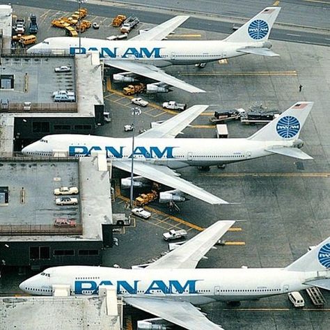 Pan American Airlines, Pan American Airways, Airlines Branding, All Airlines, Jfk Airport, National Airlines, Boeing Aircraft, Airbus A380, Vintage Airlines