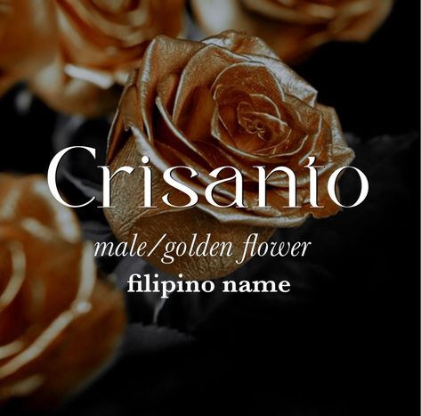 Last Names For Characters Filipino, Filipino Names With Meaning, Filipino Names Boy, Unique Filipino Words, Mystical Names Male, Filipino Last Names, Unique Fantasy Names Male, Chinese Male Names, Male Names Unique