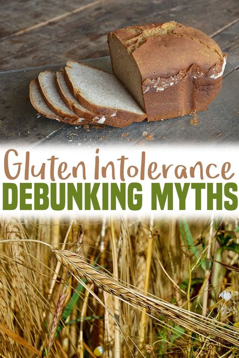 I look at the research to determine the truth about whether non celiac gluten sensitivity and gluten intolerance is real or just in your head. Non Celiac Gluten Sensitivity, Signs Of Gluten Intolerance, Gluten Intolerance Symptoms, What Is Gluten, Gluten Allergy, Holistic Health Remedies, Nutrition Articles, Gluten Sensitivity, Food Intolerance