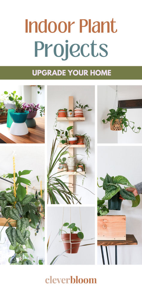 Looking to add a touch of greenery to your home with a personal, handmade touch? These 6 indoor planter projects are perfect for plant lovers who enjoy a little creativity. Whether you’re upcycling materials or building from scratch, these projects range from beginner-friendly to more advanced designs—all with stylish results. Check out these 6 Indoor Planter Projects to Elevate Your Space! Modern Industrial Boho, Industrial Boho, Planter Project, Planter Diy, Plant Projects, Eclectic Modern, Indoor Planter, Diy Planters, Urban Jungle