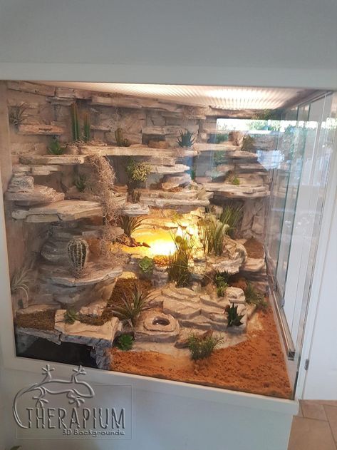 Arid Reptile Terrarium, Large Bearded Dragon Enclosure, Excavator Clay Terrarium, Bio Active Terrarium Bearded Dragon, Geko Terrarium, Diy Gecko Enclosure, Diy Terrarium Reptile, Beardie Enclosure Ideas, Large Reptile Enclosure