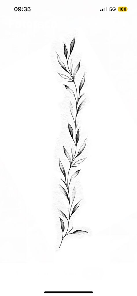 Fine Line Rosemary Tattoo, Vine Tattoo Designs For Women, Leaves Tattoo Drawing, Vines Tattoo Stencil, Pathos Plant Tattoo, Dainty Plant Tattoo, Laurel Tree Tattoo, Sage Plant Tattoo, Laurel Leaves Tattoo