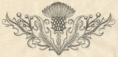 Fleurs Art Nouveau, Thistle Tattoo, Thistles Art, Motifs Art Nouveau, Motif Art Deco, Urban Threads, 1 Tattoo, Celtic Art, Celtic Designs