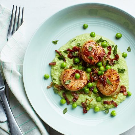 Seared Scallops with Mint, Peas, and Bacon Mint Peas, Best Scallop Recipe, Peas And Bacon, How To Cook Scallops, Seared Scallops, Bacon Recipe, Scallop Recipes, Scallops Seared, Think Food