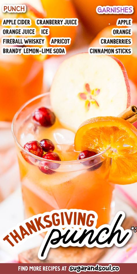 Easy Thanksgiving Punch, Fall Punch Recipes, Apple Cider Punch, Thanksgiving Punch, Holiday Punch Recipe, Cranberry Thanksgiving, Big Family Dinner, Cranberry Juice Cocktail, Recipes Drinks