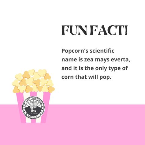 Fun Fact: Popcorn's scientific name is zea mays everta, and it is the only type of corn that will pop. Also, the word "corn" in Old English meant "grain" or, more specifically, the most prominent grain grown in a region. Popcorn Ideas, Baby Corn, Best Popcorn, Salt Water Taffy, Kettle Corn, Scientific Name, Gourmet Popcorn, Caramel Corn, Names Ideas