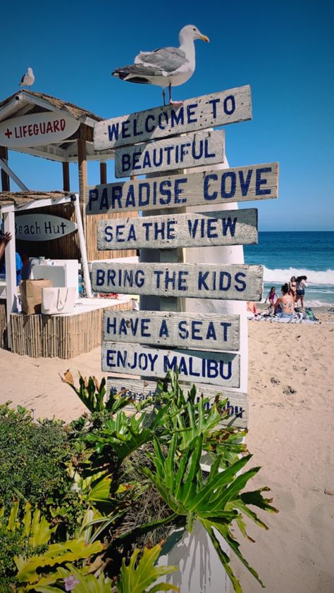 Paradise Cove, Life Vision, Life Vision Board, Coastal Lifestyle, Dream Lifestyle, Vision Board, The Beach, Paradise, California