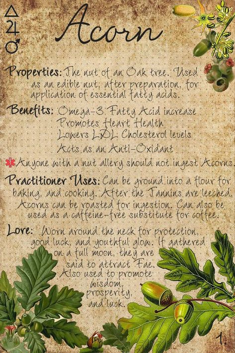 Dietary Aide, Herbal Witch, Magickal Herbs, Holistic Health Remedies, Magic Herbs, Essential Oils Herbs, Wiccan Spell Book, Herbal Apothecary, Natural Healing Remedies