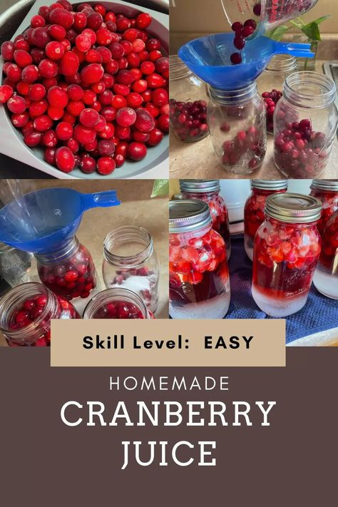 Easy Homemade Cranberry Juice - Hobbies on a Budget Making Cranberry Juice, Cranberry Juice Canning Recipe, Diy Cranberry Juice, Canned Cranberry Juice, Canning Cranberry Juice, Cranberry Juice Recipes, Homemade Cranberry Juice, Cranberry Grape Juice, Drinks With Cranberry Juice