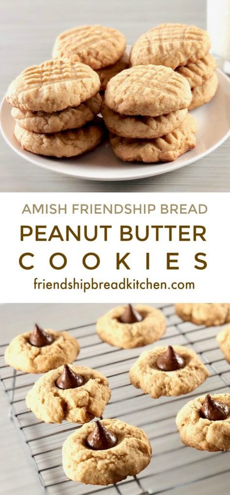 Amish Bread Starter Recipes, Bulk Mixes, Amish Breads, Amish Starter, Amish Bread Starter, Amish Cookies, Best Amish Recipes, Bread Peanut Butter, Amish Bread Recipes