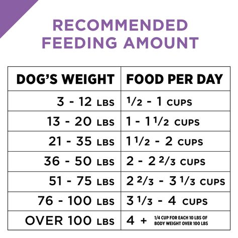 Purina Pro Plan SPORT All Life Stages Active 26/16 Formula Dry Dog Food  1 18 lb. Bag >>> To watch further for this product, check out the image web link. (This is an affiliate link). Sources Of Carbohydrates, Salmon Rice, Lean Muscles, Puppy Tips, Premium Dog Food, Doggy Treats, Pro Plan, Dog Breeding, Salmon And Rice