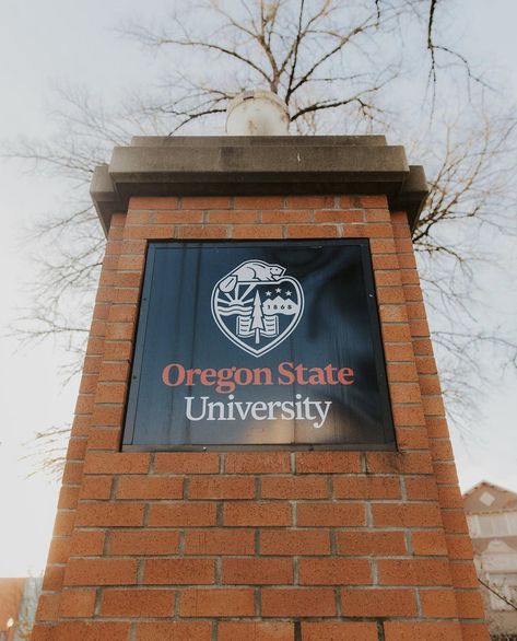 Oregon University Aesthetic, Oregon State University Aesthetic, Pacific University Oregon, Oregon State University Graduation, University Of Oregon Campus, Oregon College, Oregon State Beavers, Oregon State University, Oregon State