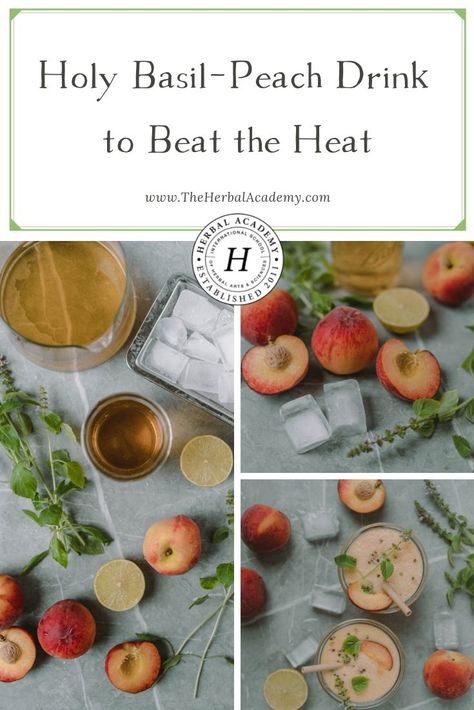 Holy Basil-Peach Drink to Beat the Heat | Herbal Academy | Are you searching for holy basil recipes? This holy basil leaf and peach drink are an incredibly refreshing combination for hot summer days. Basil Drinks, Holy Basil Tea, Peach Drink, Herbal Academy, Peach Drinks, Basil Leaf, Basil Recipes, Herbal Teas Recipes, Herbal Drinks