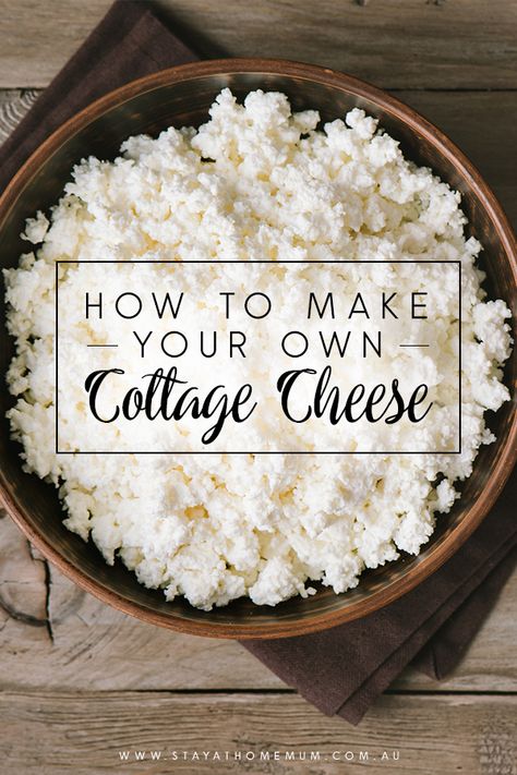 Making Cottage Cheese, Homemade Cottage Cheese Easy, Making Cottage Cheese At Home, How To Make Cottage Cheese Homemade, Homemade Cottage Cheese Recipes, Diy Cottage Cheese, How To Make Cottage Cheese, Cottage Cheese Homemade, Benefits Of Cottage Cheese