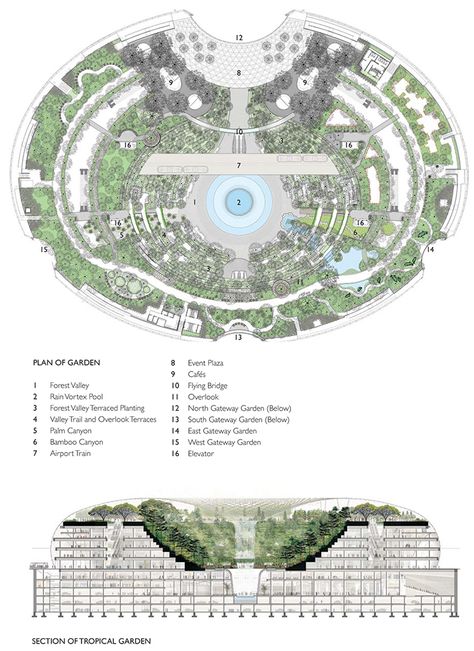 Jewel Changi Airport Architecture, Changi Jewel Airport, Airport Plan Architecture, Airport Architecture, Singapore Airport, Jewel Changi Airport, Changi Airport Singapore, Moshe Safdie, Singapore Changi Airport