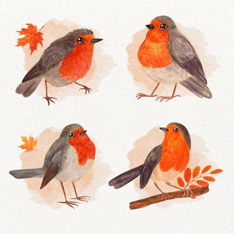 Robin Drawing, Winter Illustrations, Bird Tattoos, Posca Art, Winter Illustration, Watercolor Pictures, Robin Bird, Bird Drawings, Bird Illustration