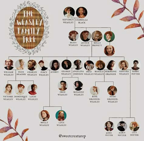 Harry Potter Black Family Tree, Dumbledore Family Tree, Black Family Tree Harry Potter, Weasley Family Fanart, Malfoy Family Tree, Weasley Family Aesthetic, Family Tree Harry Potter, Potter Family Tree, Weasley Family Tree