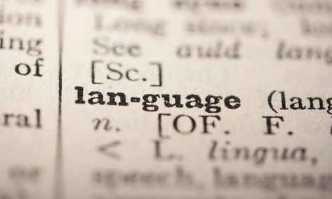 With news that over 200 languages have become extinct over the last three generations, we find out where you can hear the most endangered ones – if you hurry... English To Spanish, Spanish To English, Learn French Fast, Dna Project, Learn To Speak French, Learn Brazilian Portuguese, Portuguese Lessons, Study French, Learn Portuguese