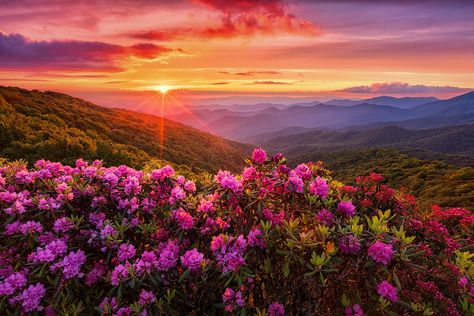 Flower Background Laptop, Pink Sky Landscape, Mountain Summer, Scenic Pictures, Cute Summer Wallpapers, The Appalachian Trail, North Carolina Mountains, Sky Landscape, Amazing Sunsets