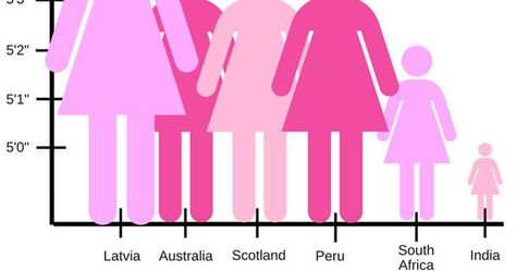 A complete picture of your health is provided to medical professionals by a number of characteristics, including your height. Your health objectives, for instance, will be different from those of someone who is somewhat taller than normal if you are shorter than average Become Shorter In Height, Average Height By Age, Average Height For Women, Leiden University, Exam Answer, Comparative Literature, Average Height, Sports Food, Spotlight Stories