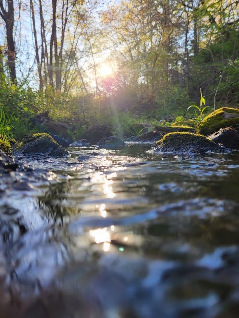 Water Spring Natural, River Water Photography, Nature Photography Water, Ocean Water Photography, Water Movement Photography, Reflection In Water Photography, Running Water Aesthetic, Water Images Photography, Water Asthetics Photos