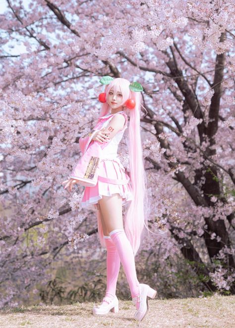 Sakura Miku Cosplay, Cosplay Poses, Sakura Miku, Sakura Cosplay, Miku Cosplay, Cherry Blossom, Cherry, Art