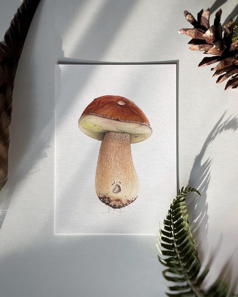 Bolete King Bolete Mushroom Art Watercolor Painting Art | Etsy King Bolete Mushroom, Bolete Mushroom, Mushroom Wall Art, Porcini Mushroom, Minimal Watercolor, Alice In Wonderland Illustrations, Mushroom Paint, Mushroom Pictures, Mushroom Drawing