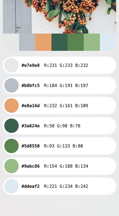 Excel Color Palette Codes, Rbg Color Codes, Infographic Layout, Rgb Color Codes, Flat Color Palette, Christmas Color Palette, Kindergarten Design, Hex Color Palette, Hex Color Codes