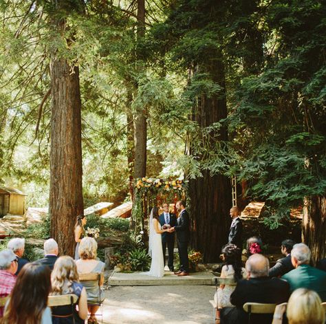 big sur ceremony, Henry Miller Memorial Library.  THIS is where I want to get married! Henry Miller Library, Wedding Forest, Big Sur Wedding, Library Wedding, Rustic Outdoor Wedding, Rustic Wedding Inspiration, Henry Miller, Forest Theme, Forest Photography