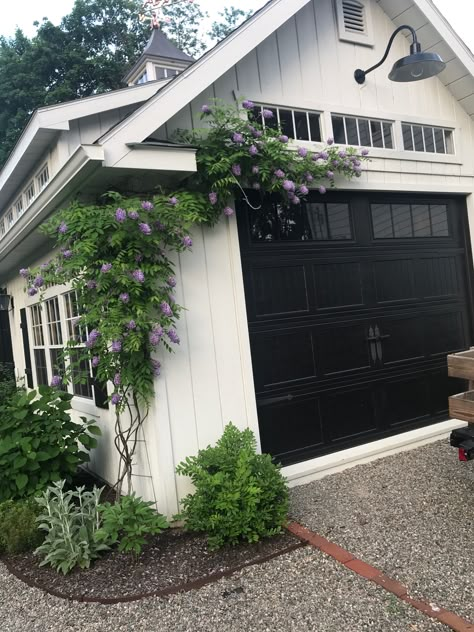 Wisteria Over Garage Door, Wisteria Trellis Over Garage, Plants On Side Of Garage, Wisteria On House, Garage Trellis, Wisteria Trellis, American Wisteria, Garage Pergola, Bungalow Renovation