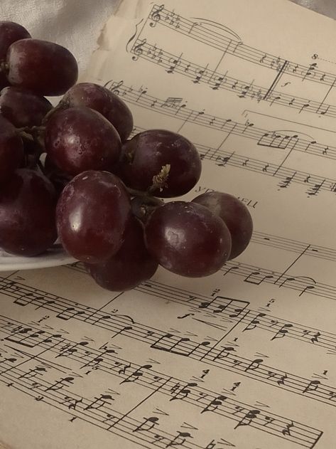 Wine Grapes Aesthetic, Purple Grape Aesthetic, Grapes Aesthetic Purple, Grape Purple Aesthetic, Grape Vine Aesthetic, Grapevine Aesthetic, Red Grapes Aesthetic, Prudence Aesthetic, Purple Grapes Aesthetic