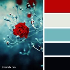 navy blue, red, antique white and medium gray for my bedroom Bedroom Colours, Kitchen Theme, Rustic Wedding Decorations, Winter Rose, Color Palate, Theme Color, Design Seeds, Kitchen Color, Red And Teal